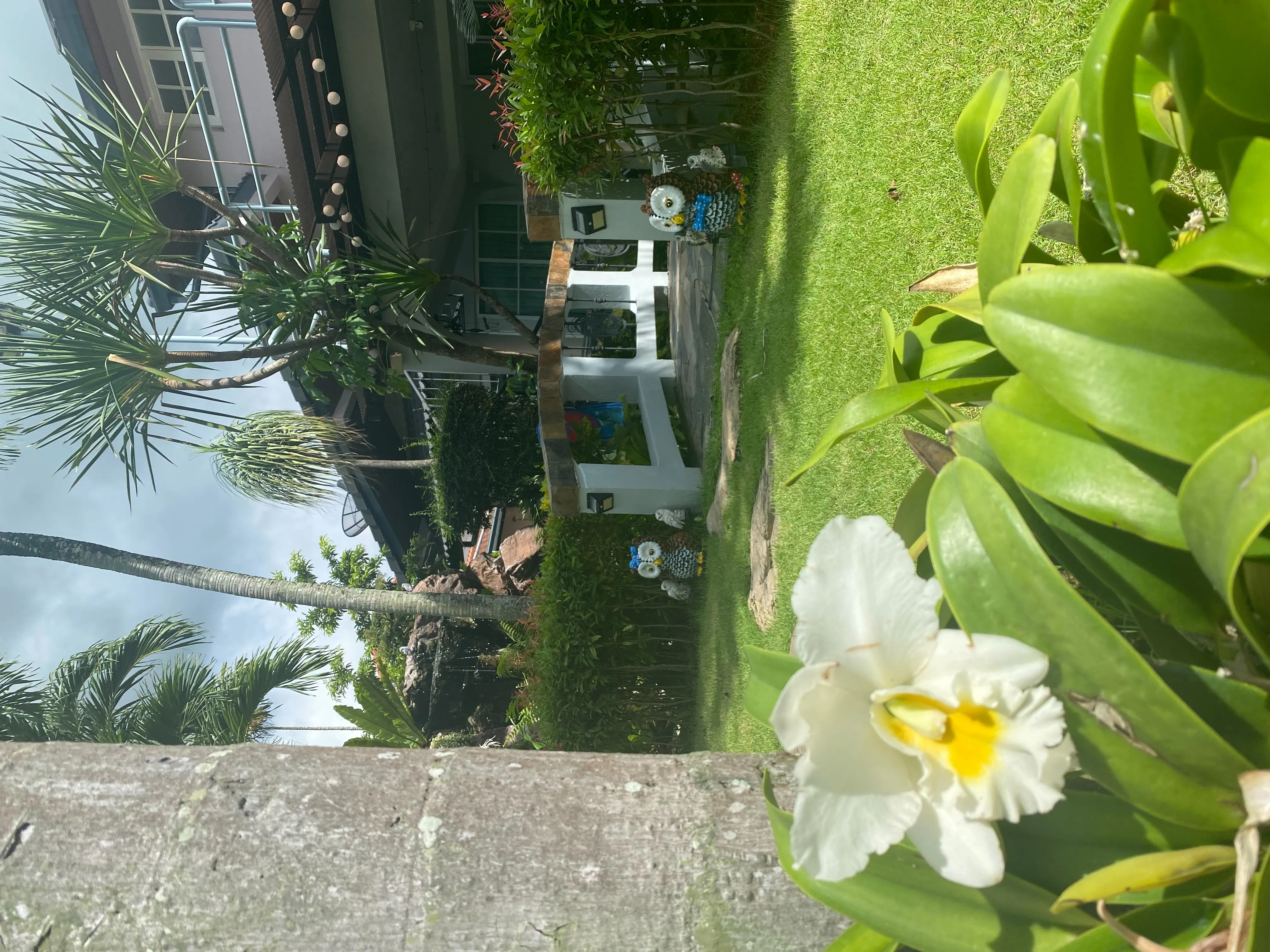 Let’s Chill Pool Villa Najomtien42