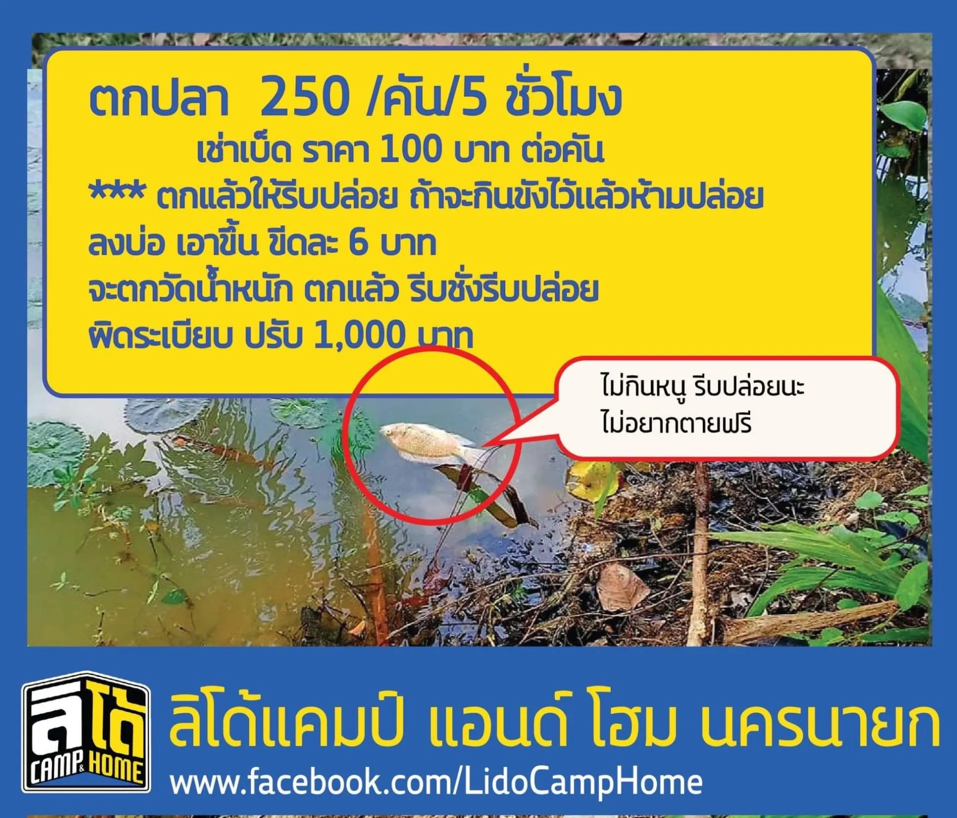 ลิโด้แคมป์ นครนายก Private Pool Suit B2,B3