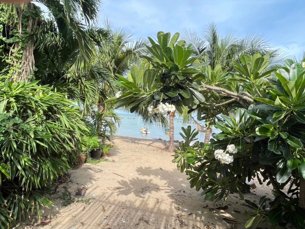 Gao Phala Beachfront Hostel