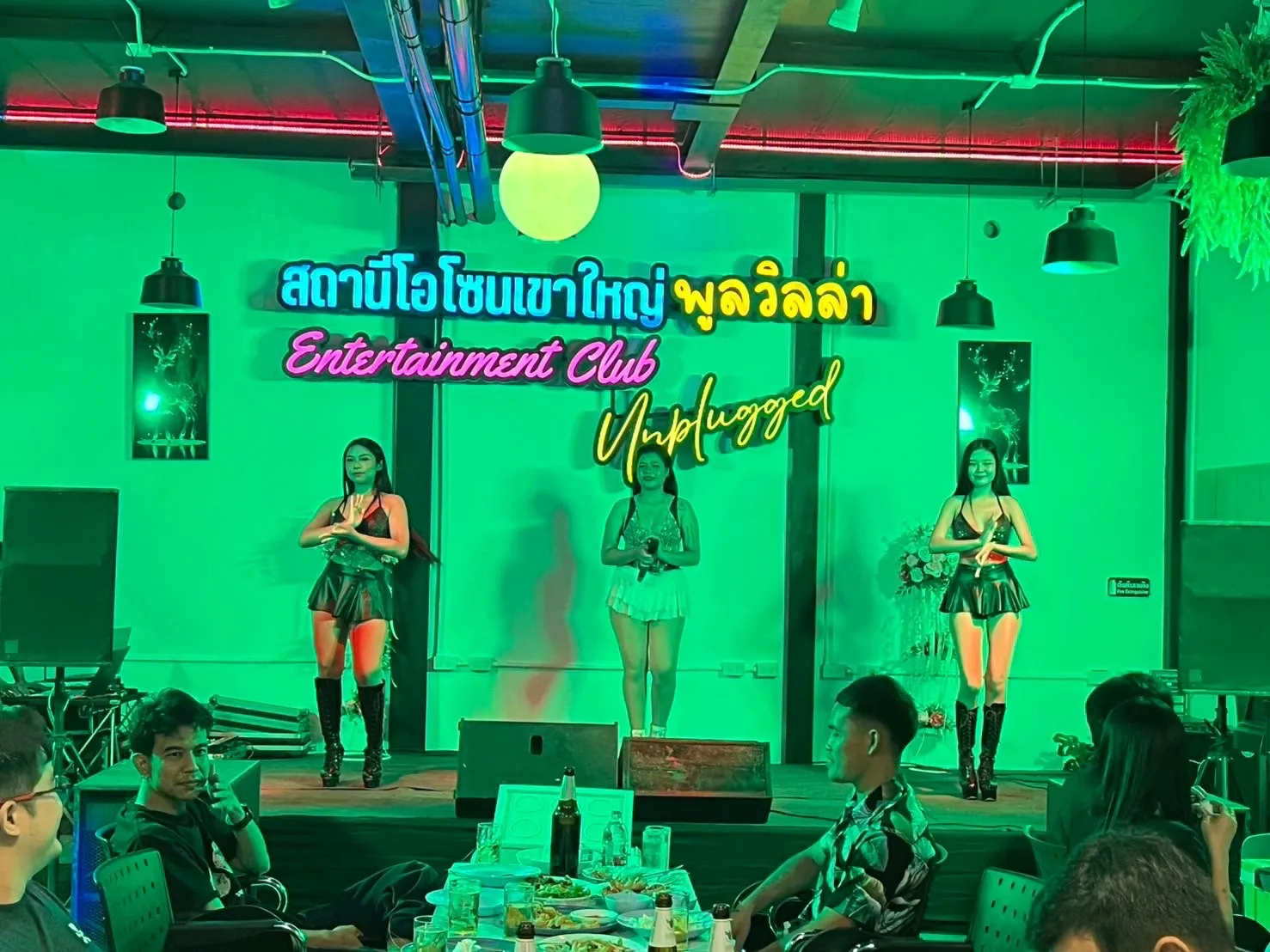 เหมาสถานีโอโซนเขาใหญ่ พูลวิลล่า 1+2