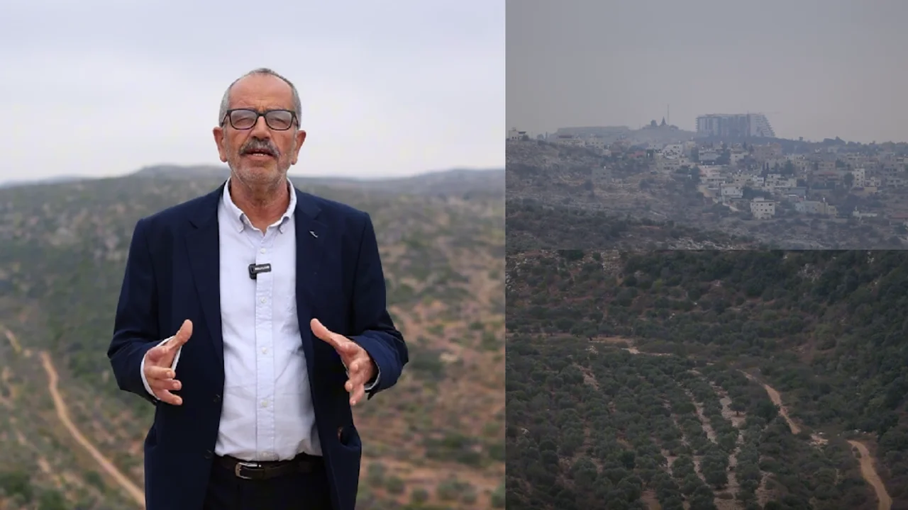 West Bank Researcher Fears Israeli Elections Won’t Stop Settlement Expansion as Farmers Lose Access to Thousands of Olive Trees