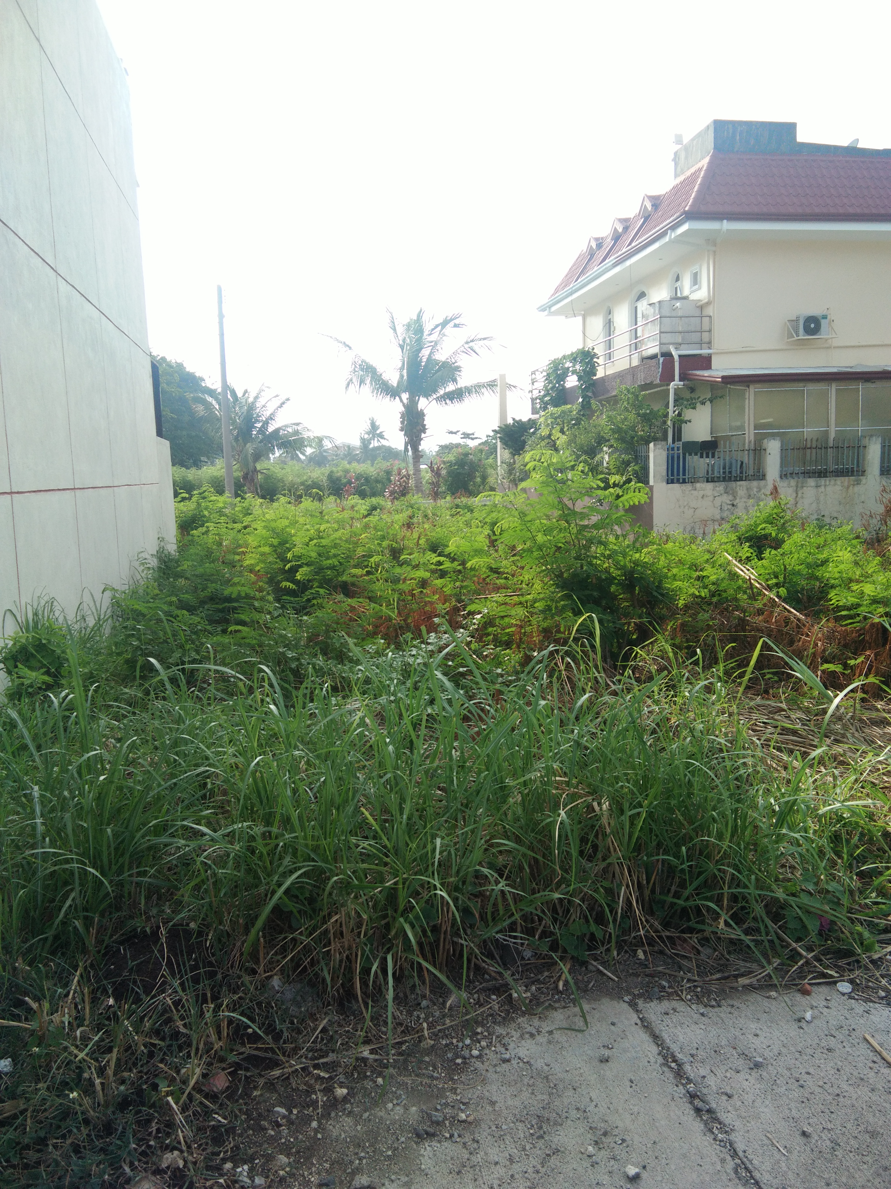 Lot For Sale In CITY OF TALISAY (Cebu), CEBU