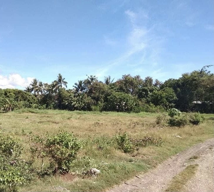 Industrial For Sale In LILOAN, CEBU