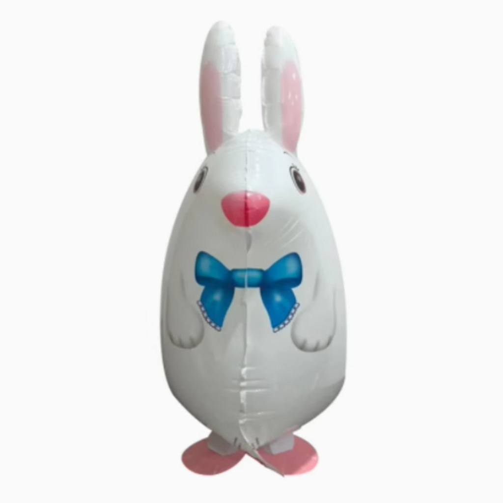 Show Walking Pet Balloons image