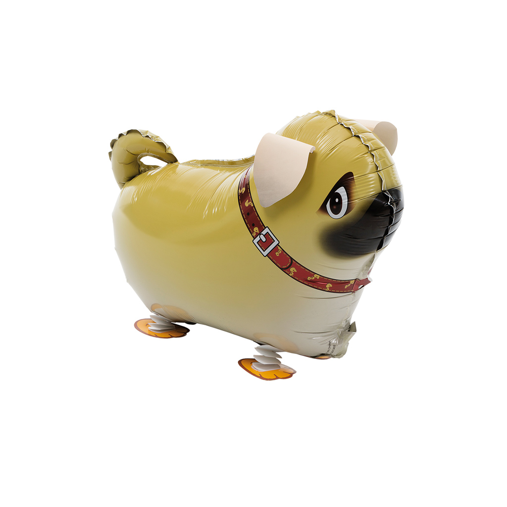 Show Walking Pet Balloons image