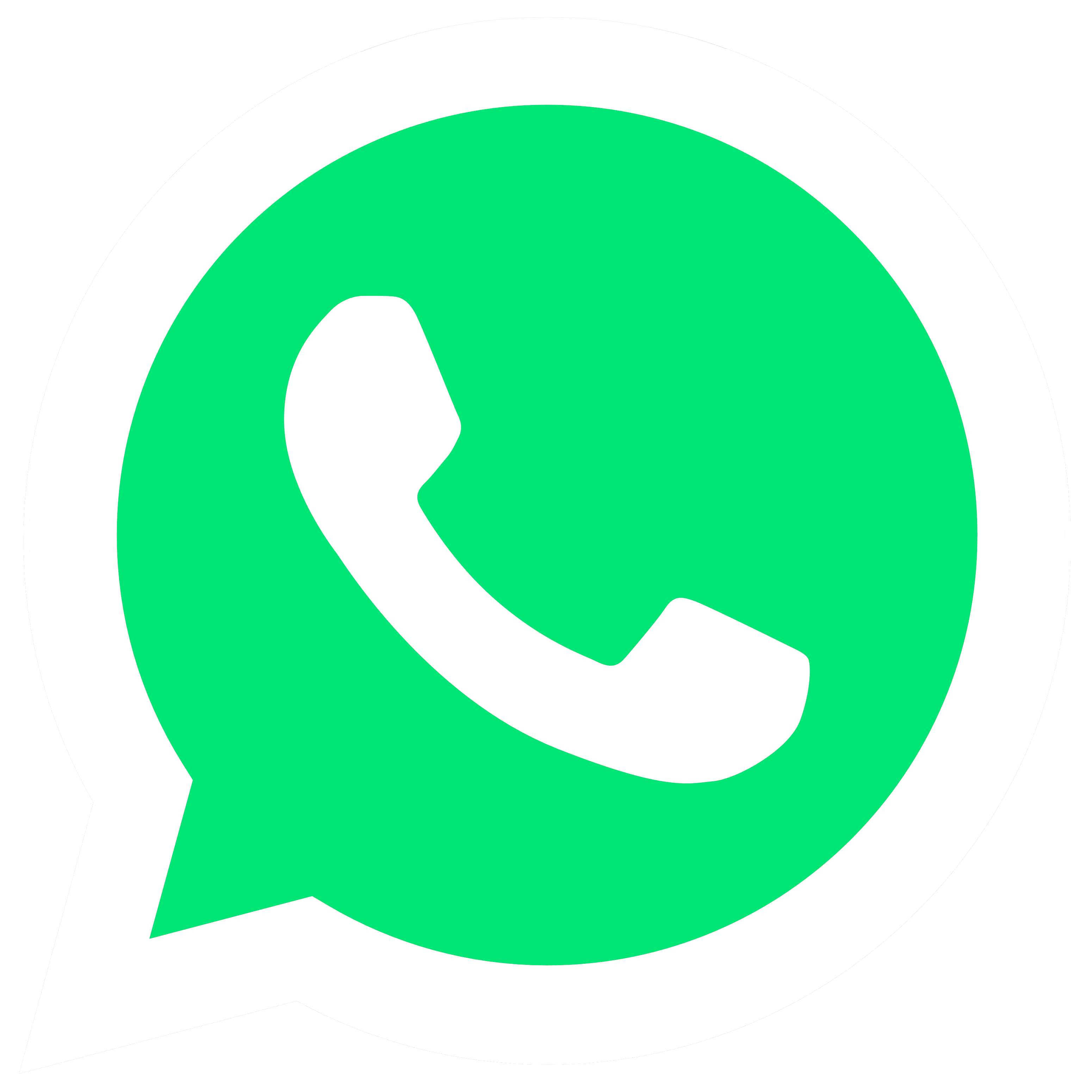 WhatsApp Logo