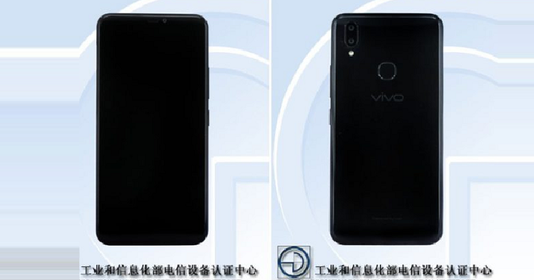 Vivo Two Budget Phones