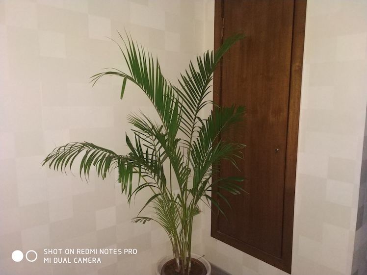 Redmi Note 5 Pro 8