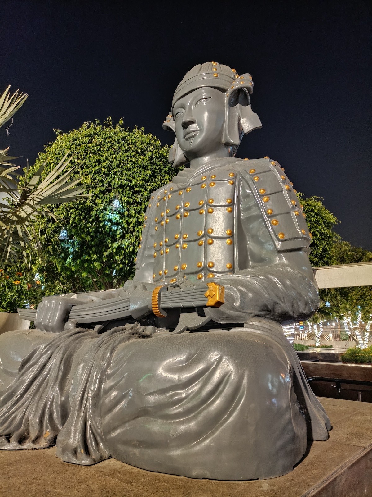 Primary Camera (Night Mode)