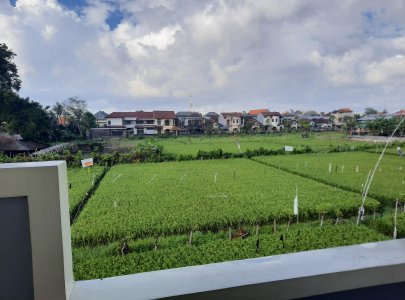 KOS FASILITAS LENGKAP VIEW SAWAH