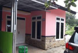 Kontrakan / sewa rumah daerah Pasir Putih