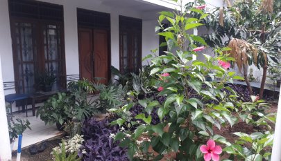 Kost Putri / Karyawati Jl. Bacang 3