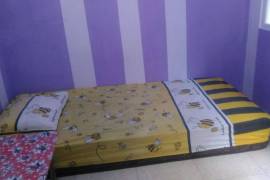 kost violet dieng