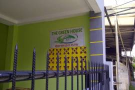 Kost Khusus Puteri Cempaka Putih, The Green House