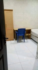  kost putra murah