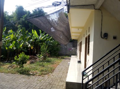 Kost Pria Murah Samping Uniwara Kota Pasuruan