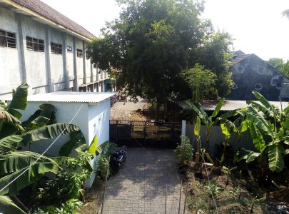 Kost Pria Murah Samping Uniwara Kota Pasuruan