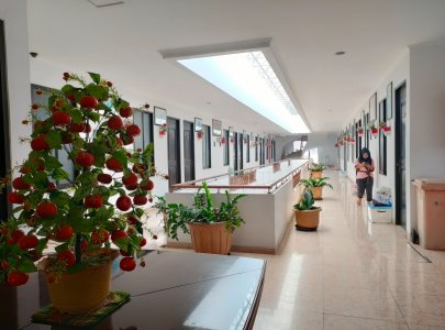 Kost Iris Kuningan