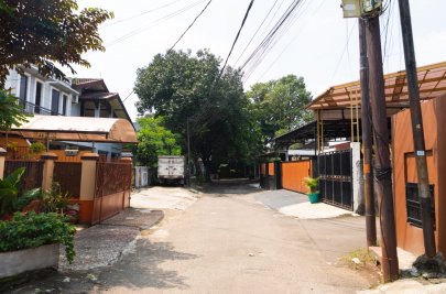 pandava kost 