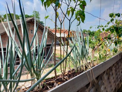 Kost Putra Jogja Murah