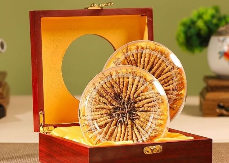 mua đông trùng hạ thảo ở Hà Nội Onplaza Việt Pháp