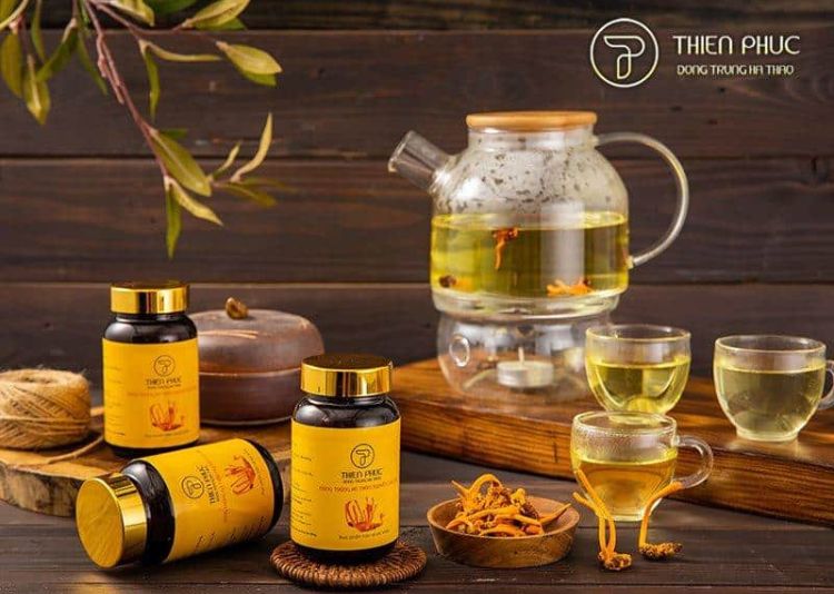 mua đông trùng hạ thảo ở Hà Nội Đông trùng hạ thảo Thiên Phúc
