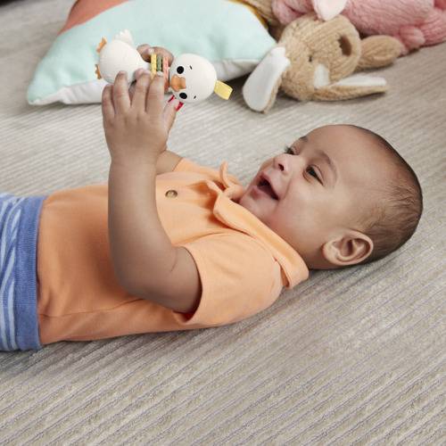 Fisher-Price Clack & Quack Goose Sensory Teether