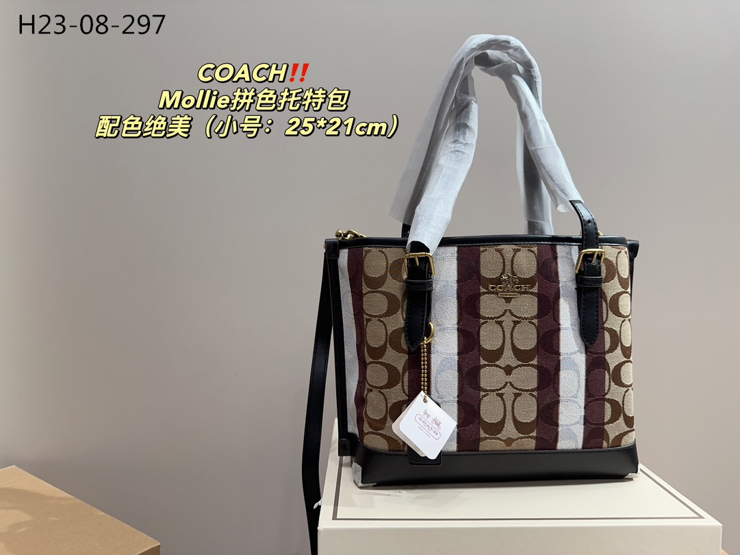 62.29-COACH     9935-T gallery