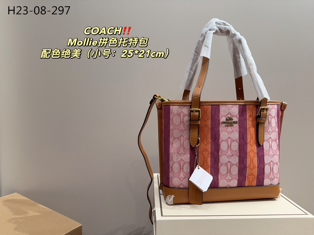 62.29-COACH     9935-T gallery