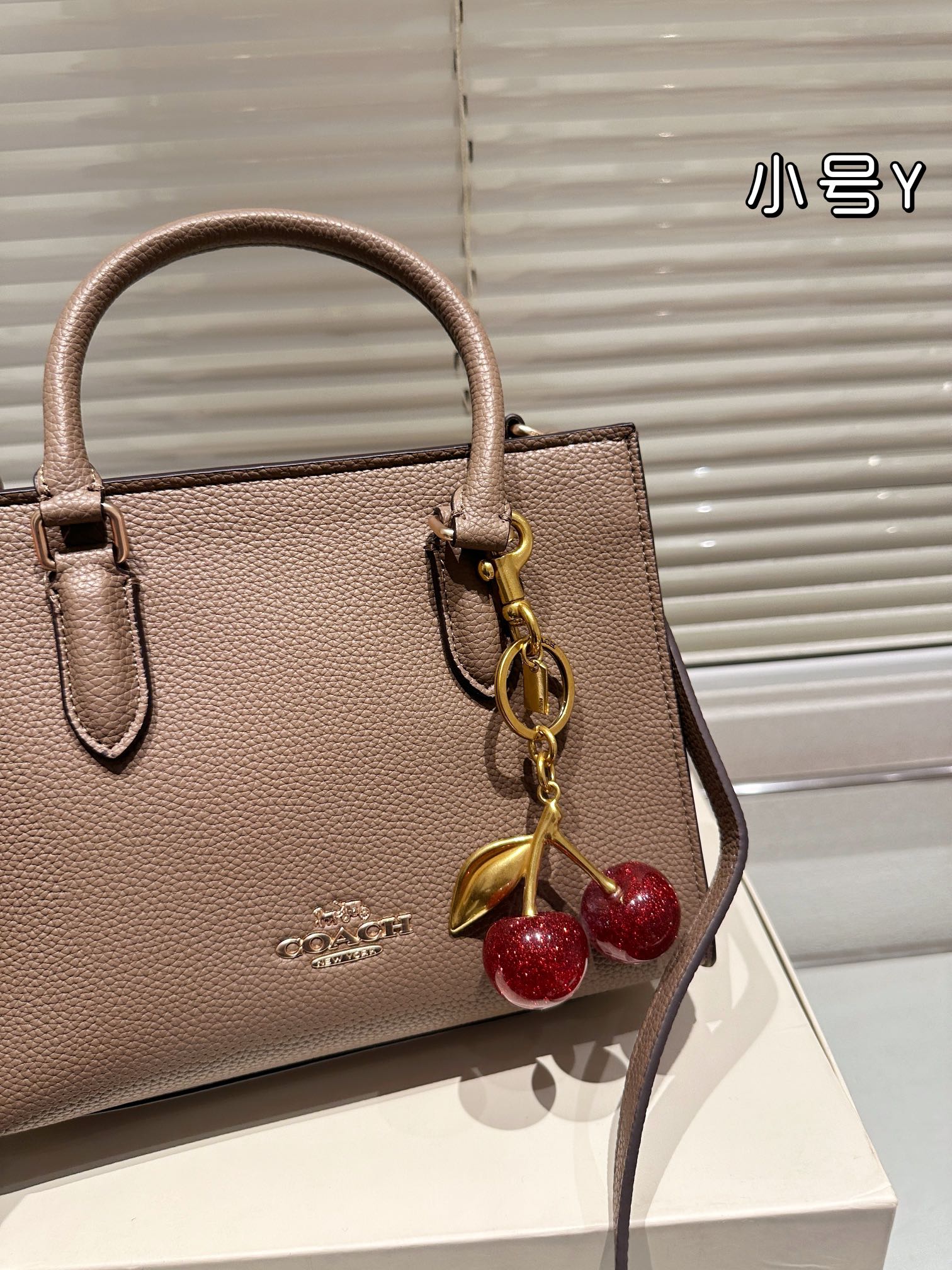 😀25288-COACH-$75 gallery