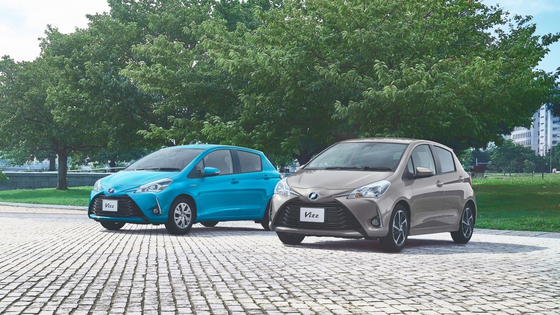 front view of two Toyota Vitz in a park