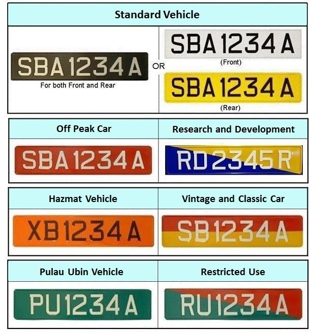 WhatsApp Image 2024-06-19 at 17.45.12.jpeg